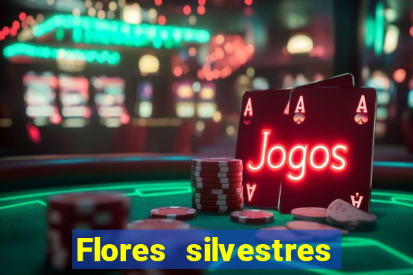 Flores silvestres brasileiras 25